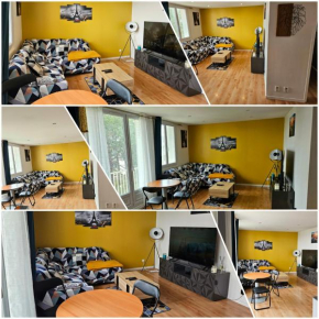 Appartement lumineux meublé